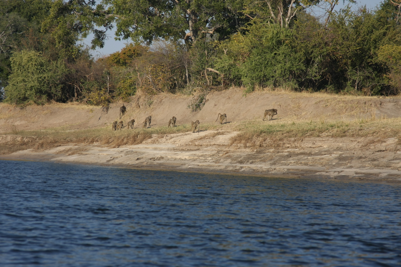 [28220] 2016_07_02_10_26_38_Africa_Canon_EOS_40D_IMG__04593.jpg