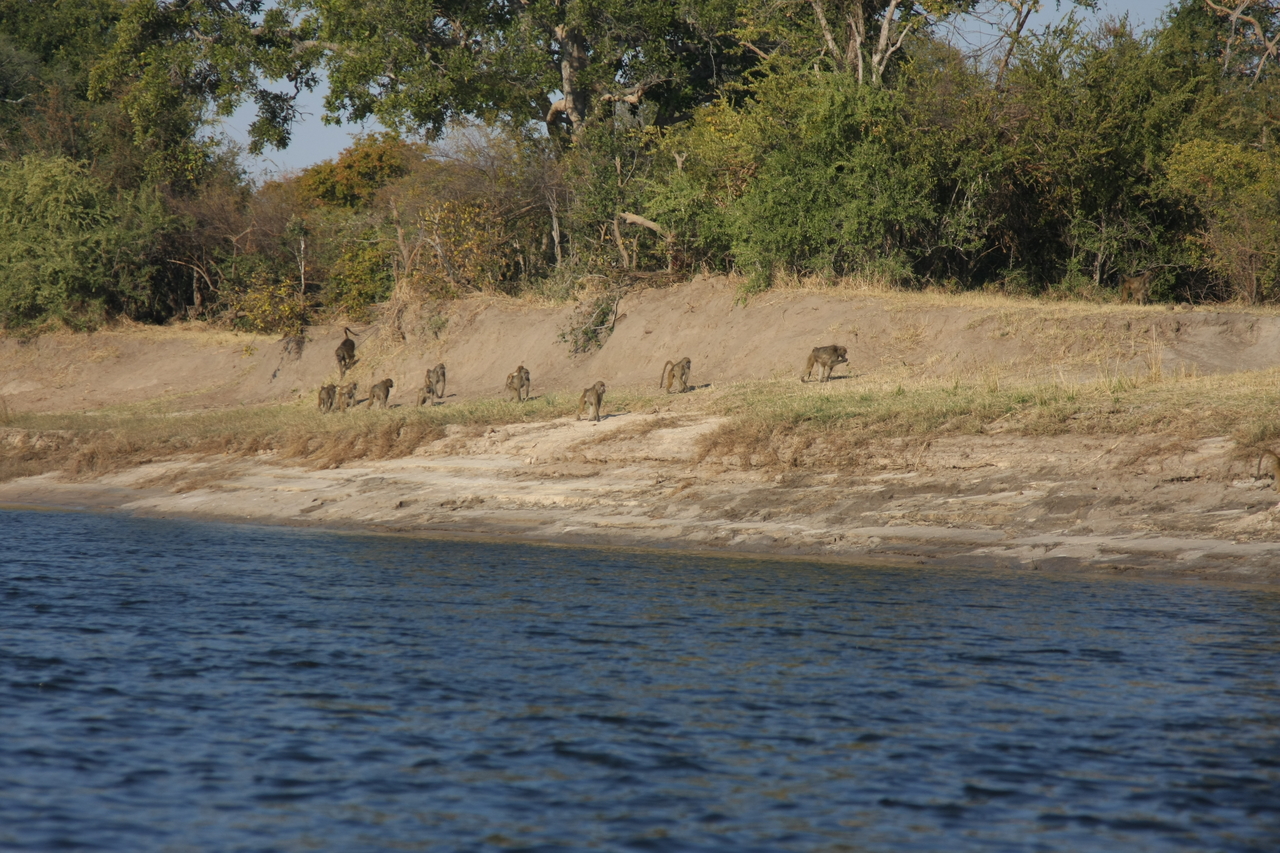 [28221] 2016_07_02_10_26_38_Africa_Canon_EOS_40D_IMG__04594.jpg