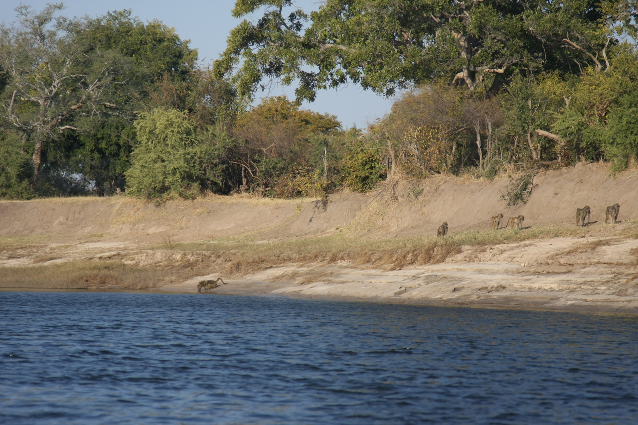 [28230] 2016_07_02_10_26_57_Africa_Canon_EOS_40D_IMG__12042.jpg