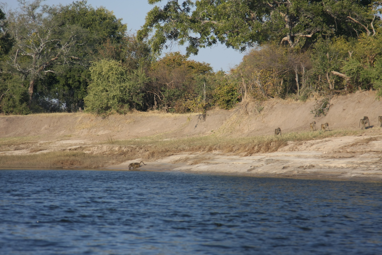 [28232] 2016_07_02_10_26_57_Africa_Canon_EOS_40D_IMG__12044.jpg