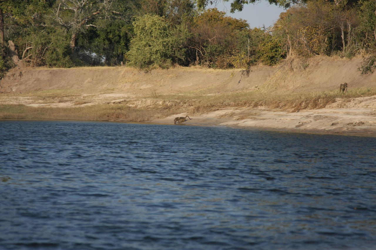 [28234] 2016_07_02_10_27_01_Africa_Canon_EOS_40D_IMG__00056.jpg