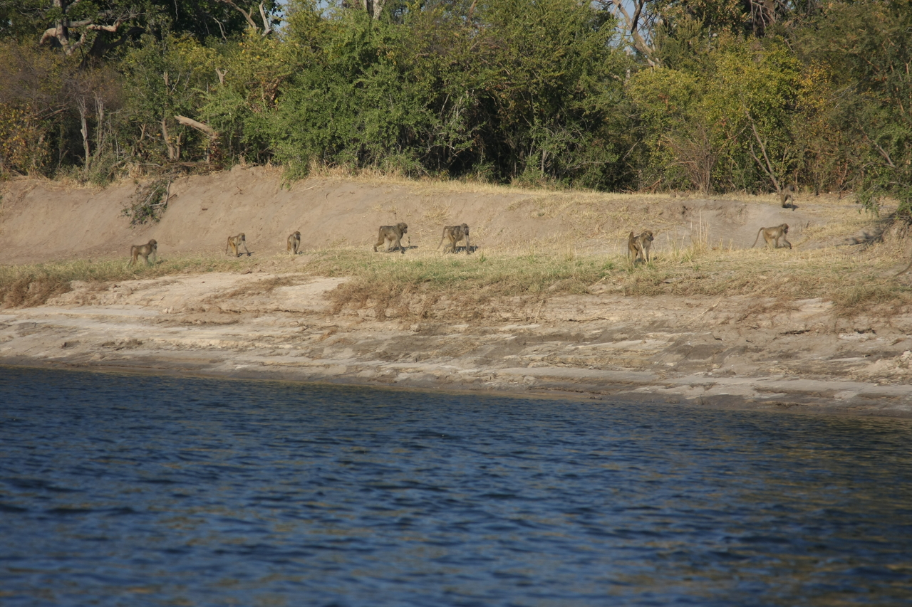 [28243] 2016_07_02_10_27_04_Africa_Canon_EOS_40D_IMG__04602.jpg