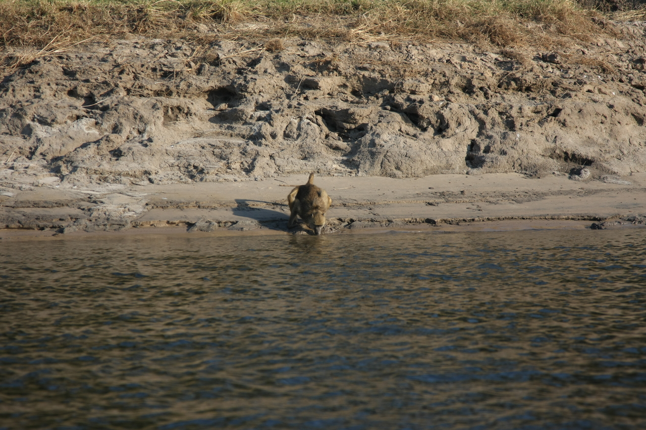 [28274] 2016_07_02_10_28_06_Africa_Canon_EOS_40D_IMG__00072.jpg