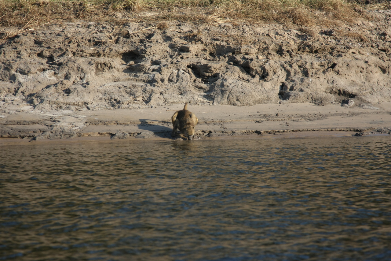 [28283] 2016_07_02_10_28_07_Africa_Canon_EOS_40D_IMG__04616.jpg