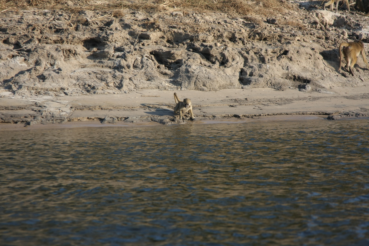 [28295] 2016_07_02_10_28_22_Africa_Canon_EOS_40D_IMG__04620.jpg