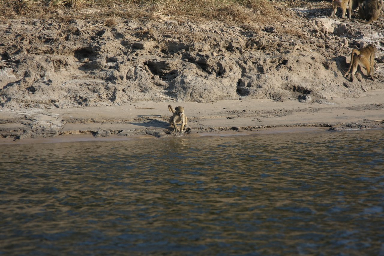 [28296] 2016_07_02_10_28_22_Africa_Canon_EOS_40D_IMG__04621.jpg