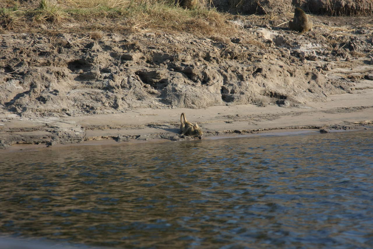 [28314] 2016_07_02_10_28_43_Africa_Canon_EOS_40D_IMG__00085.jpg