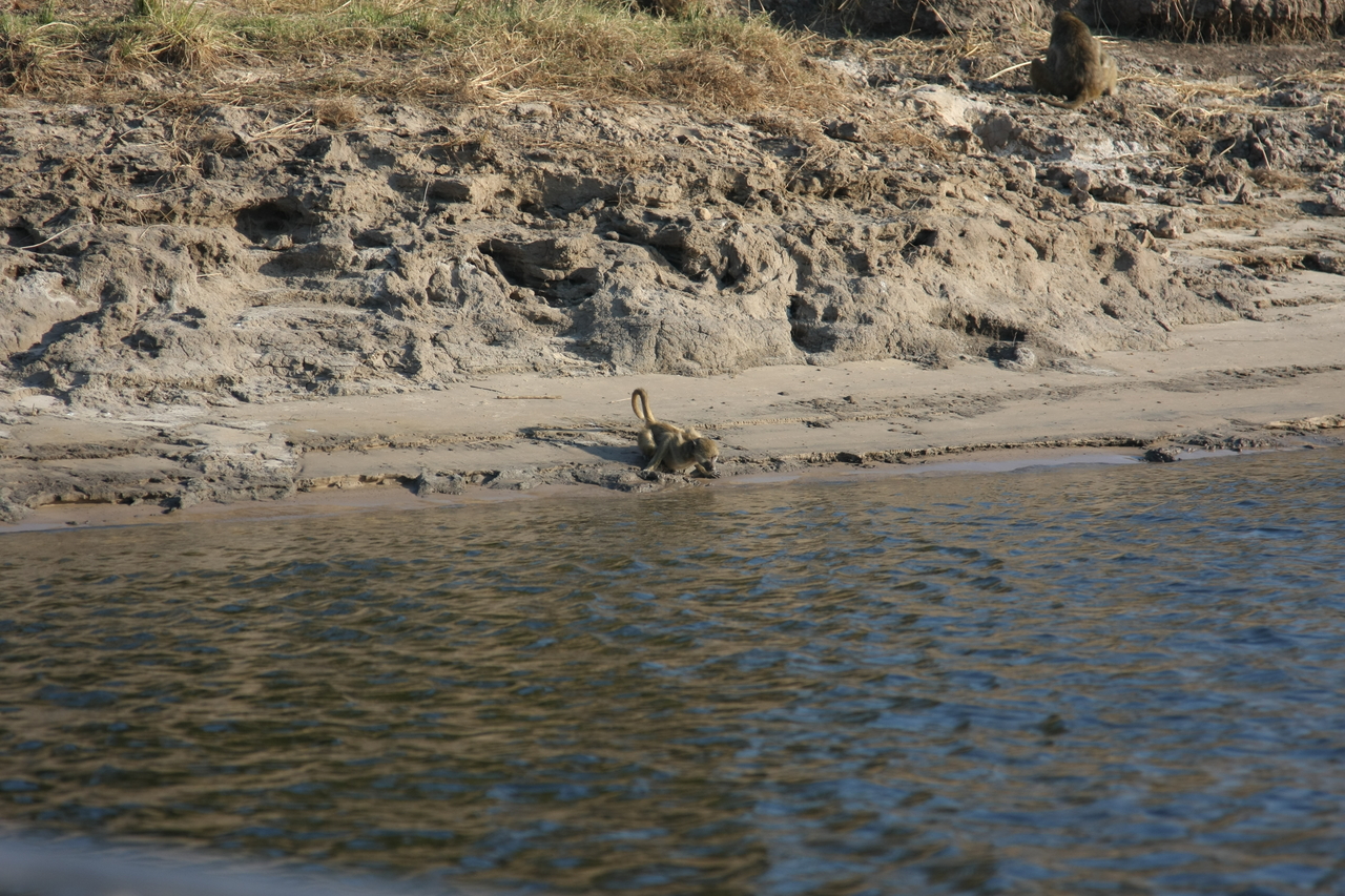 [28317] 2016_07_02_10_28_43_Africa_Canon_EOS_40D_IMG__04629.jpg