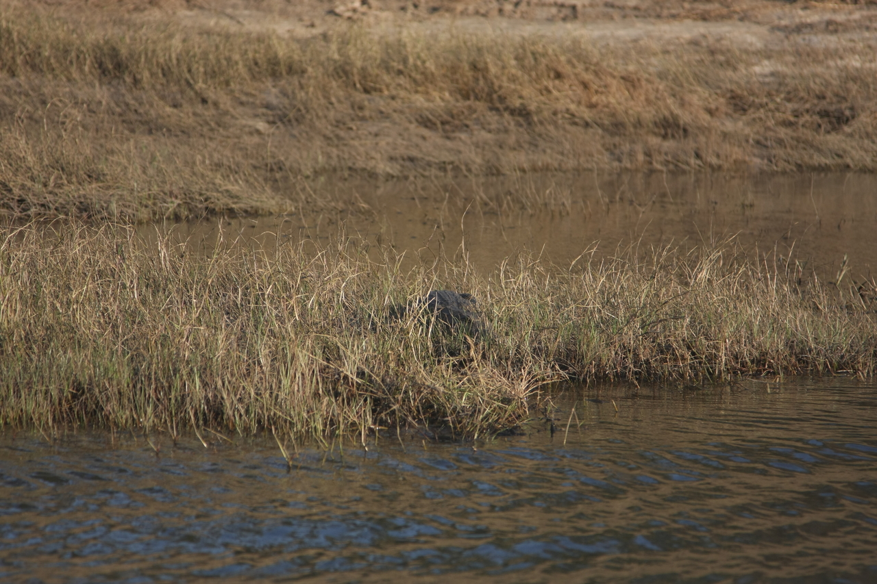 [28325] 2016_07_02_10_32_47_Africa_Canon_EOS_40D_IMG__04631.jpg