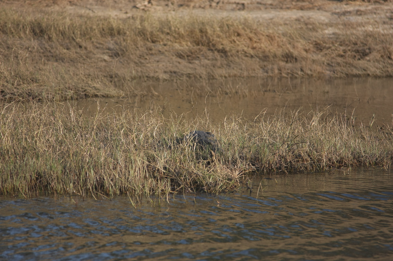 [28326] 2016_07_02_10_32_47_Africa_Canon_EOS_40D_IMG__04632.jpg