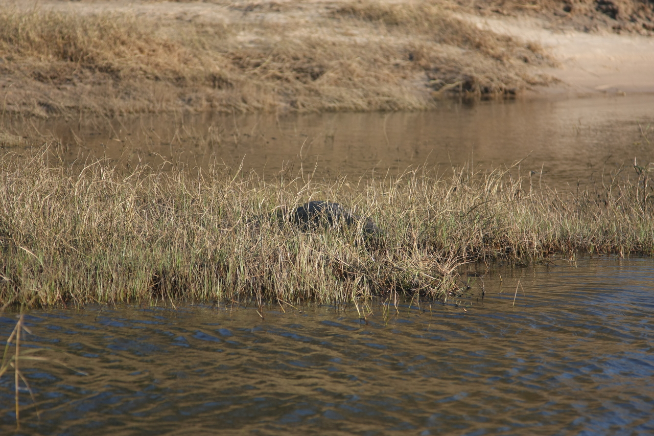 [28331] 2016_07_02_10_33_37_Africa_Canon_EOS_40D_IMG__04633.jpg