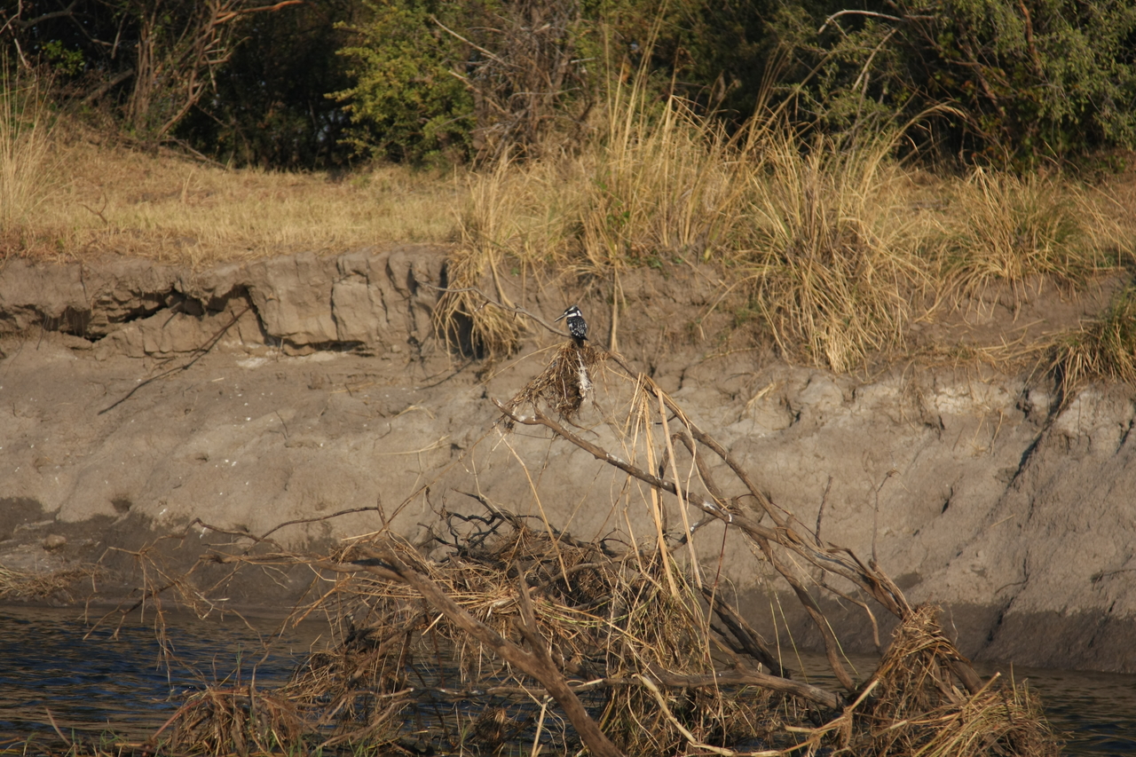 [28337] 2016_07_02_10_44_23_Africa_Canon_EOS_40D_IMG__00095.jpg