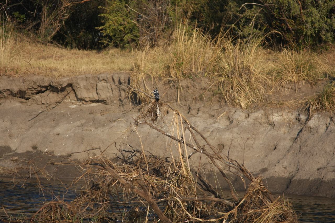 [28341] 2016_07_02_10_44_23_Africa_Canon_EOS_40D_IMG__12083.jpg