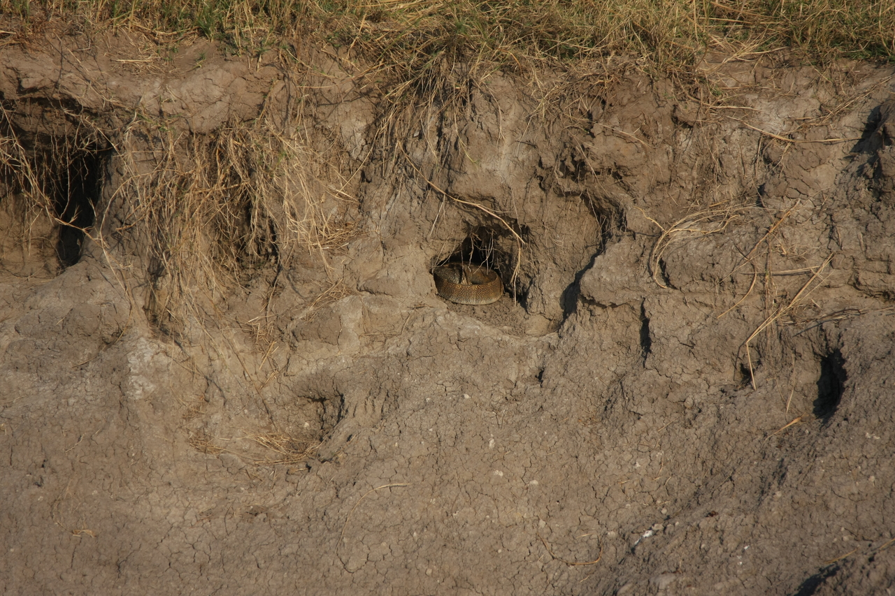 [28354] 2016_07_02_10_45_53_Africa_Canon_EOS_40D_IMG__00098.jpg