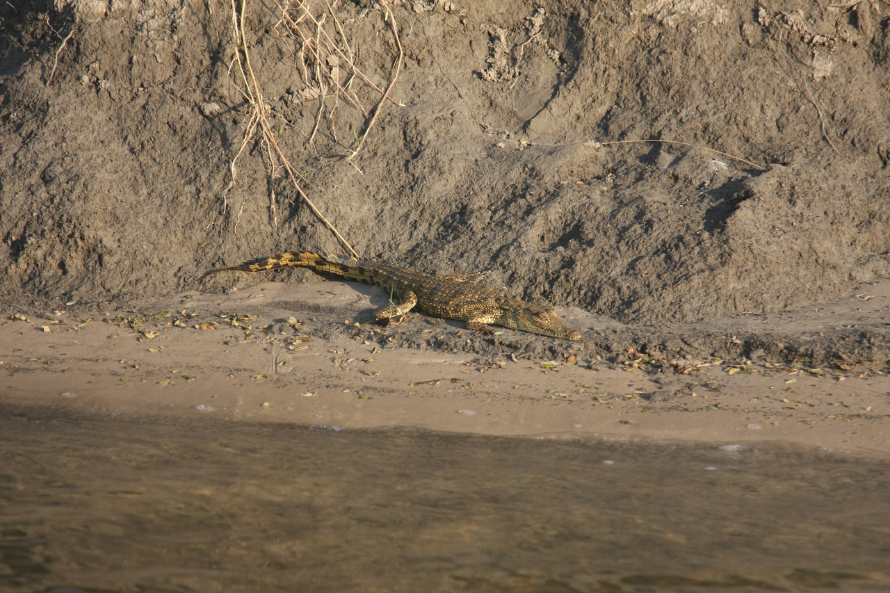 [28368] 2016_07_02_10_49_28_Africa_Canon_EOS_40D_IMG__04646.jpg