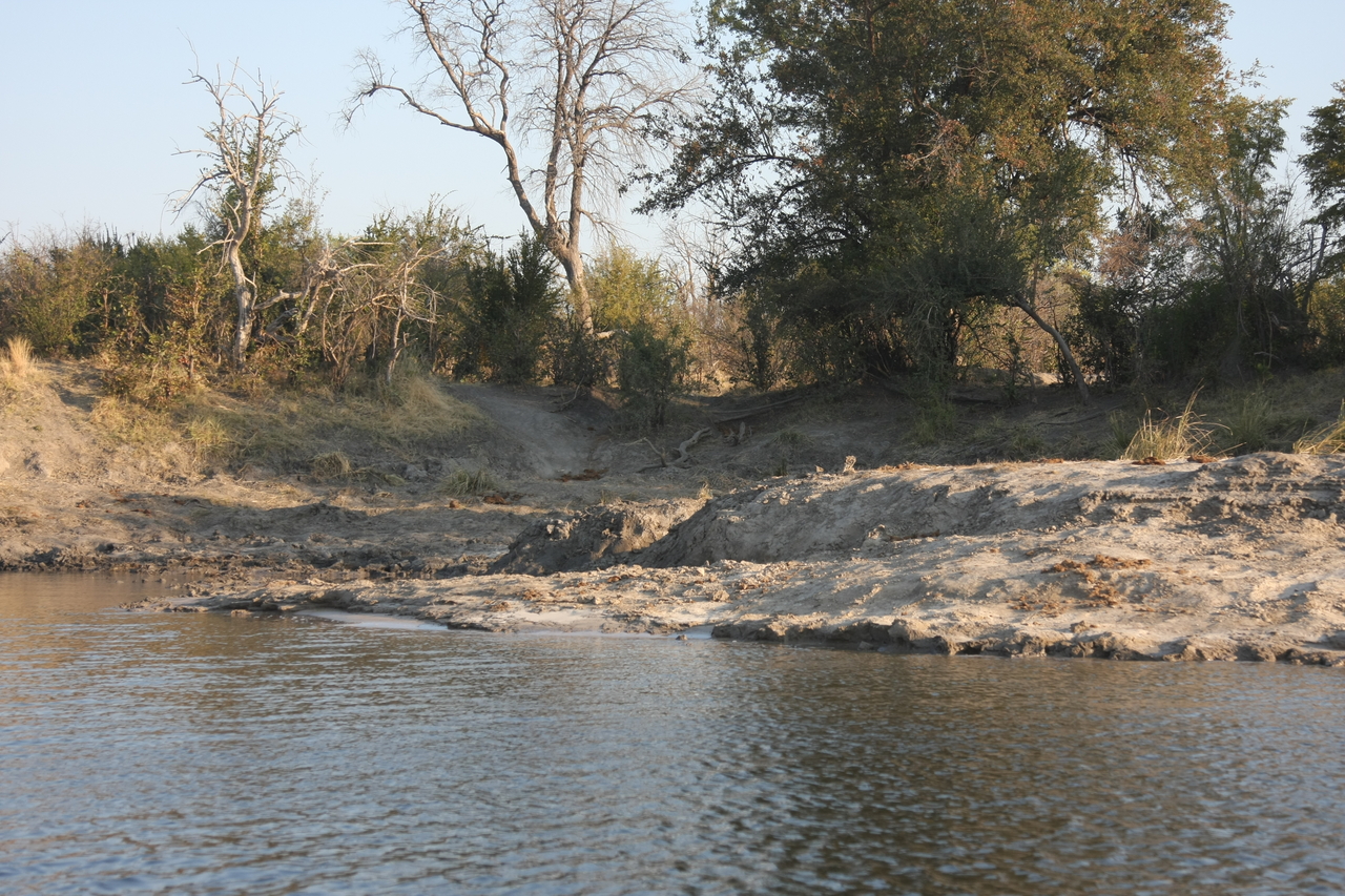 [28374] 2016_07_02_10_52_40_Africa_Canon_EOS_40D_IMG__04648.jpg