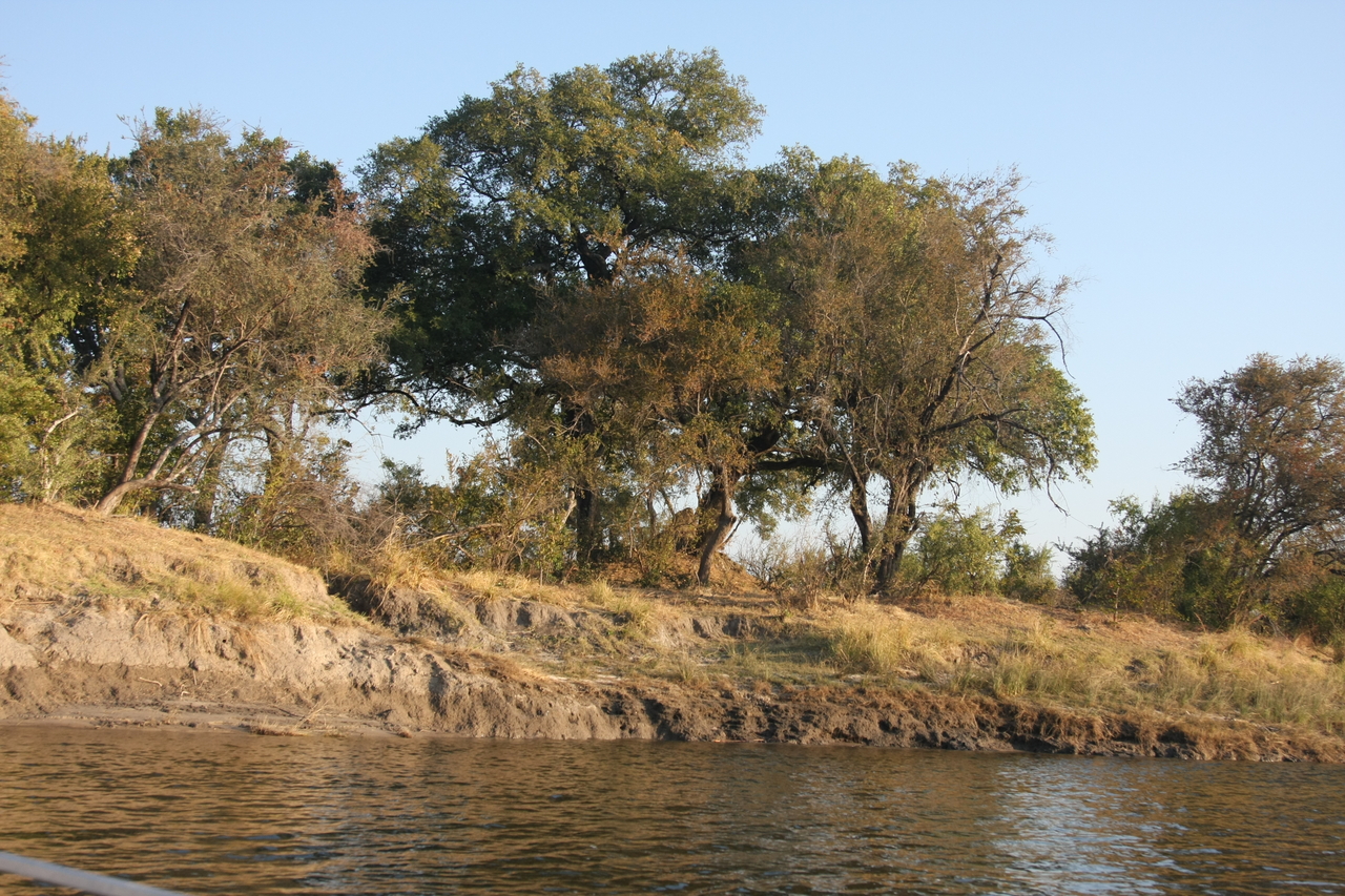 [28395] 2016_07_02_10_56_46_Africa_Canon_EOS_40D_IMG__00112.jpg