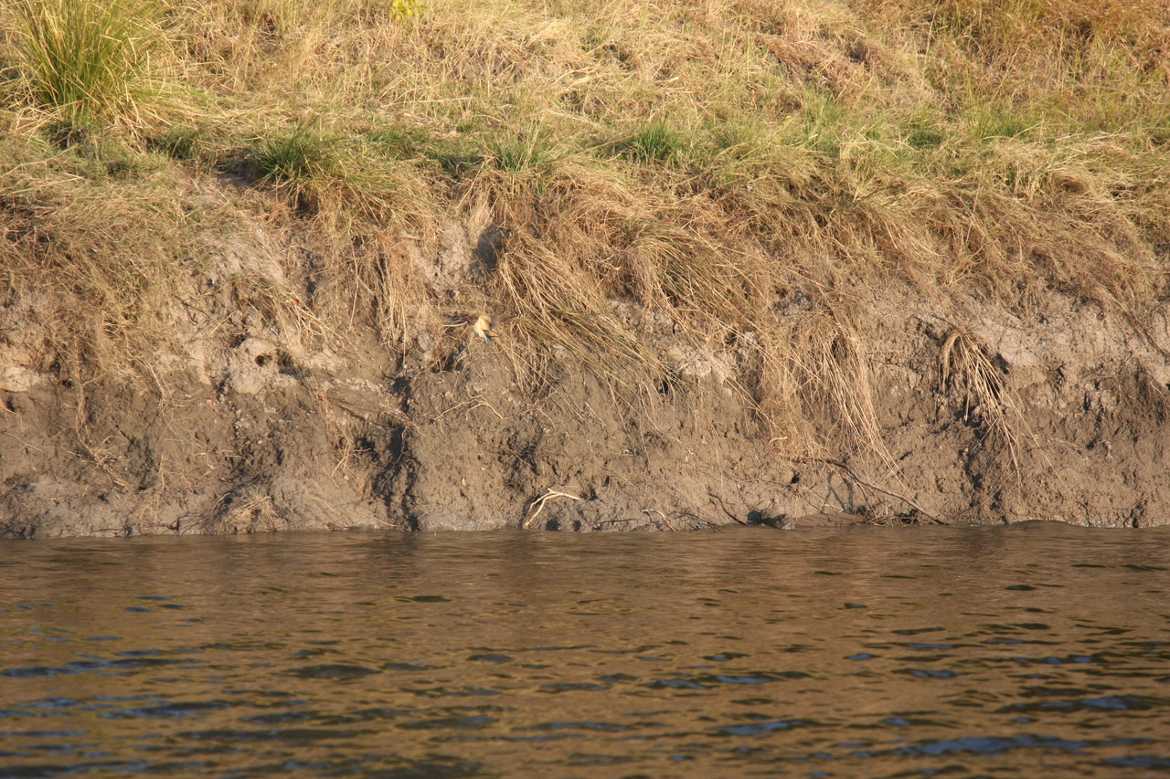 [28406] 2016_07_02_10_57_46_Africa_Canon_EOS_40D_IMG__04661.jpg