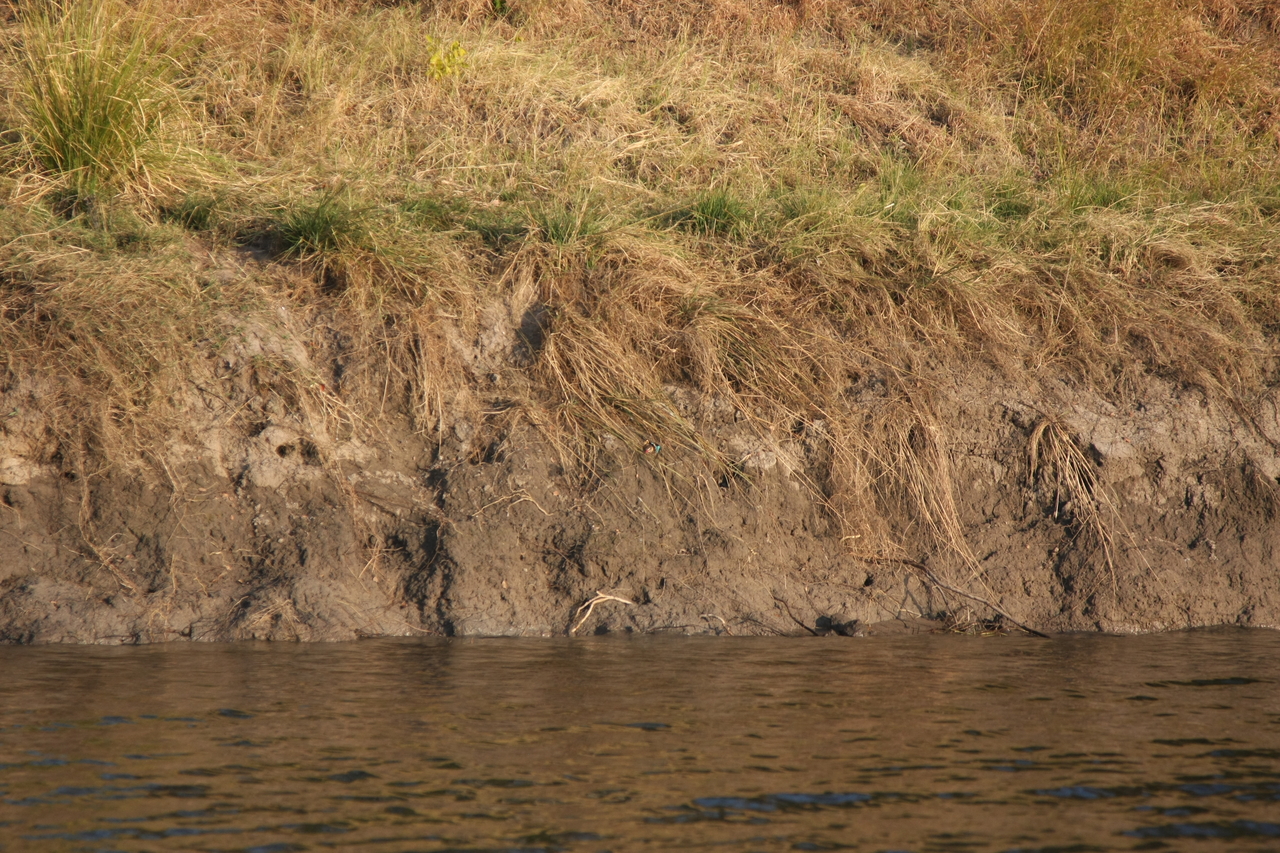 [28407] 2016_07_02_10_57_46_Africa_Canon_EOS_40D_IMG__12106.jpg