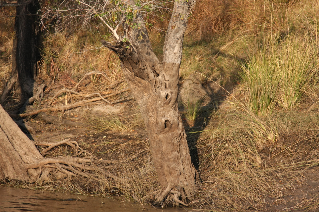 [28420] 2016_07_02_10_59_41_Africa_Canon_EOS_40D_IMG__04665.jpg