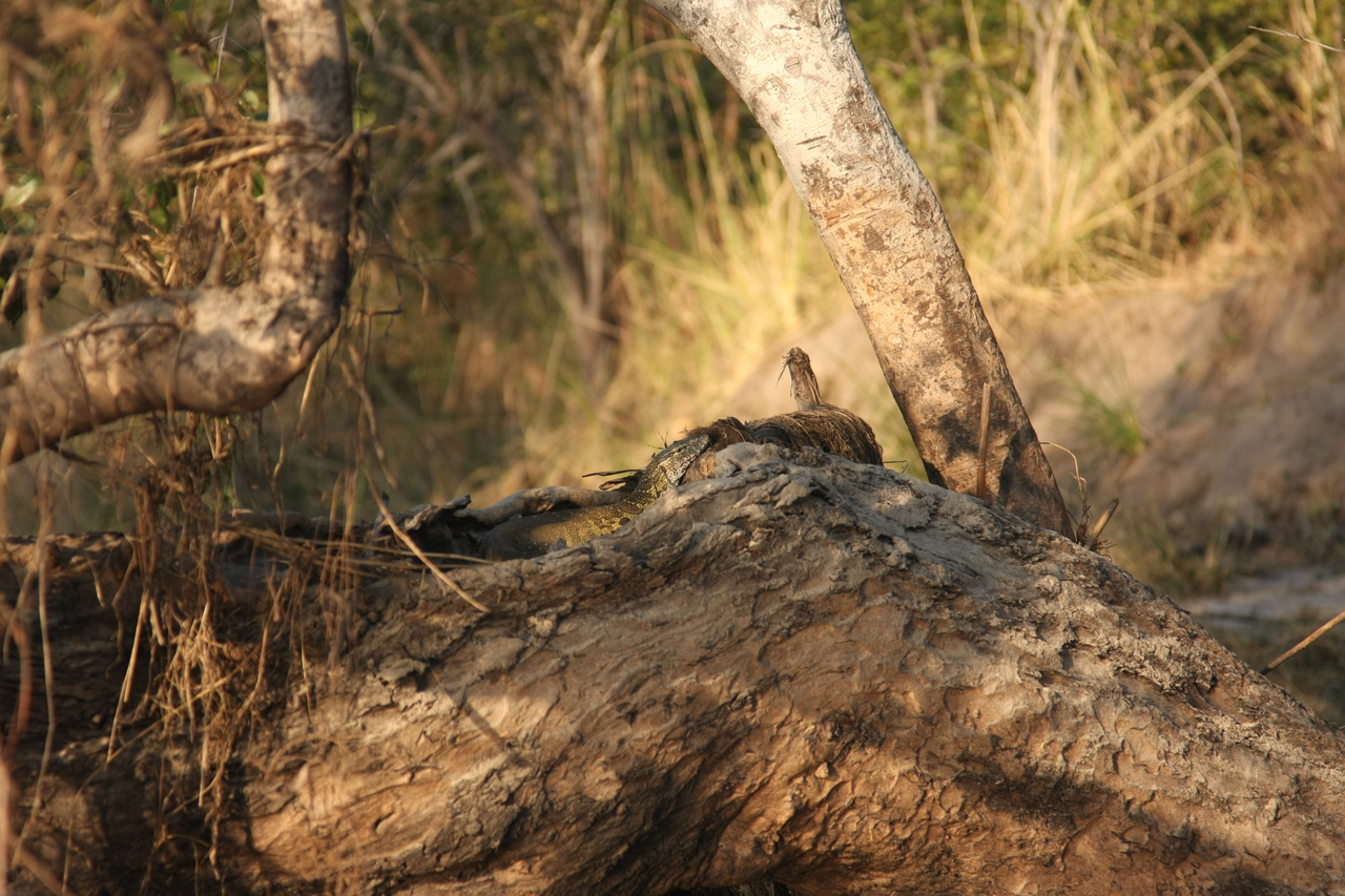 [28442] 2016_07_02_11_00_50_Africa_Canon_EOS_40D_IMG__12120.jpg