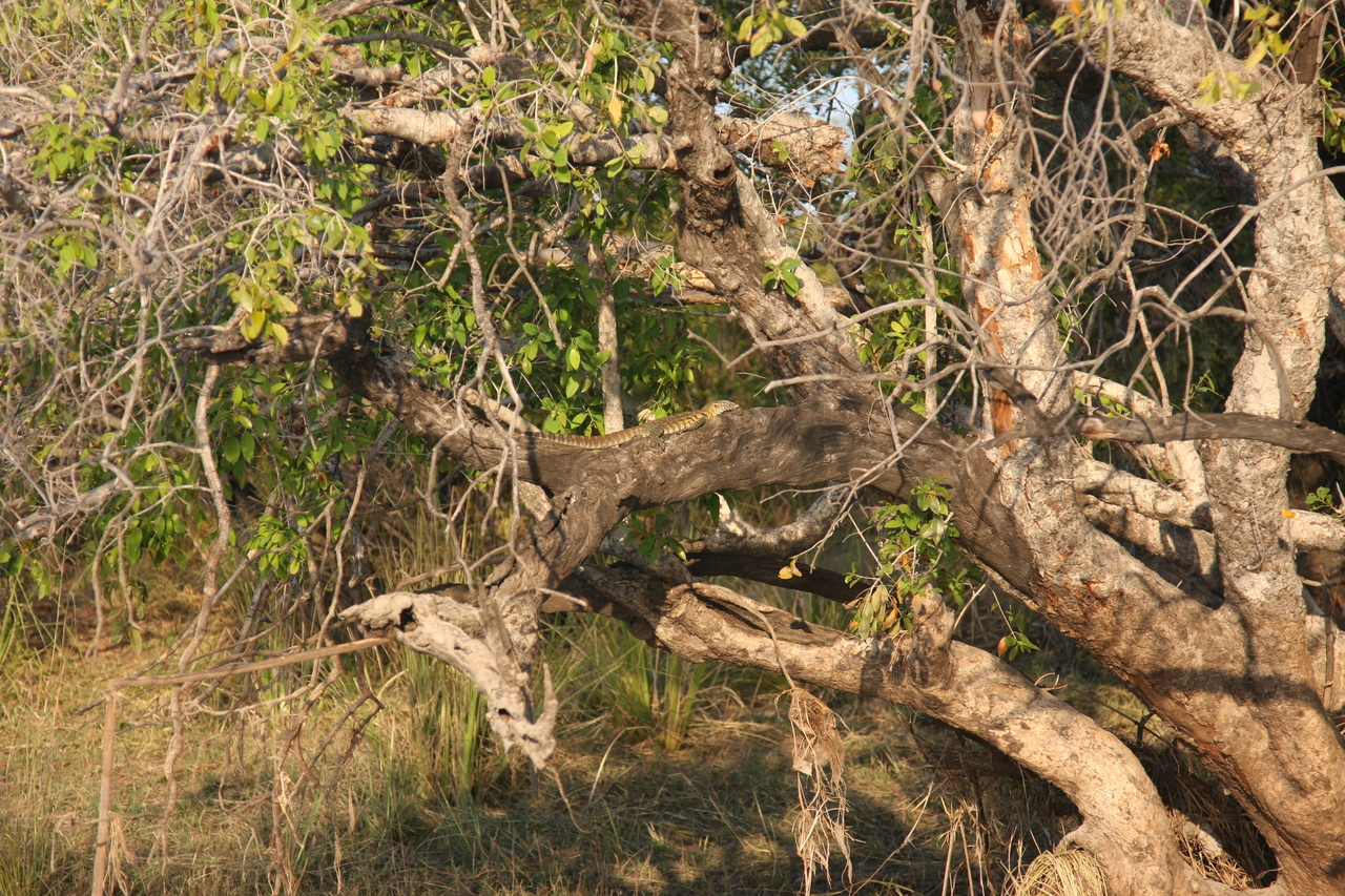 [28458] 2016_07_02_11_03_02_Africa_Canon_EOS_40D_IMG__00137.jpg