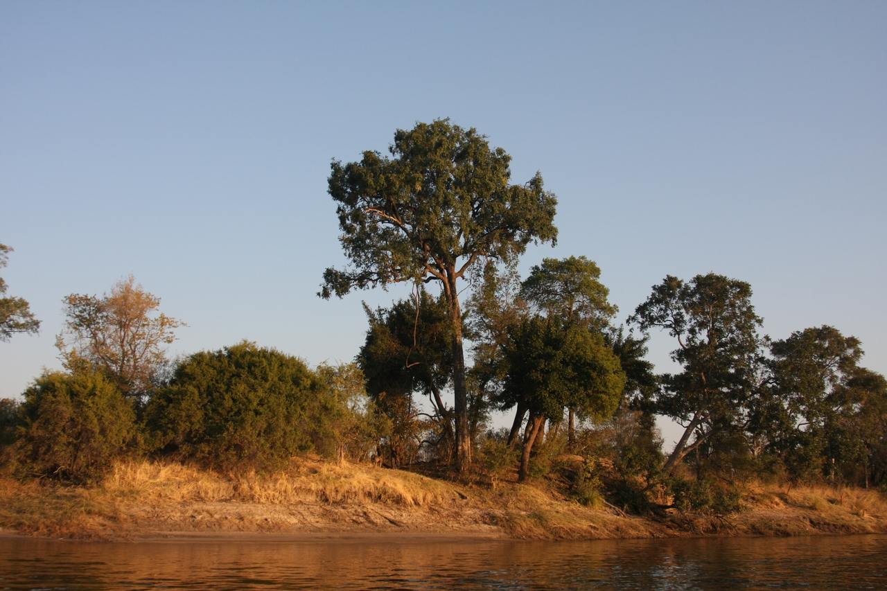 [28473] 2016_07_02_11_14_10_Africa_Canon_EOS_40D_IMG__04683.jpg