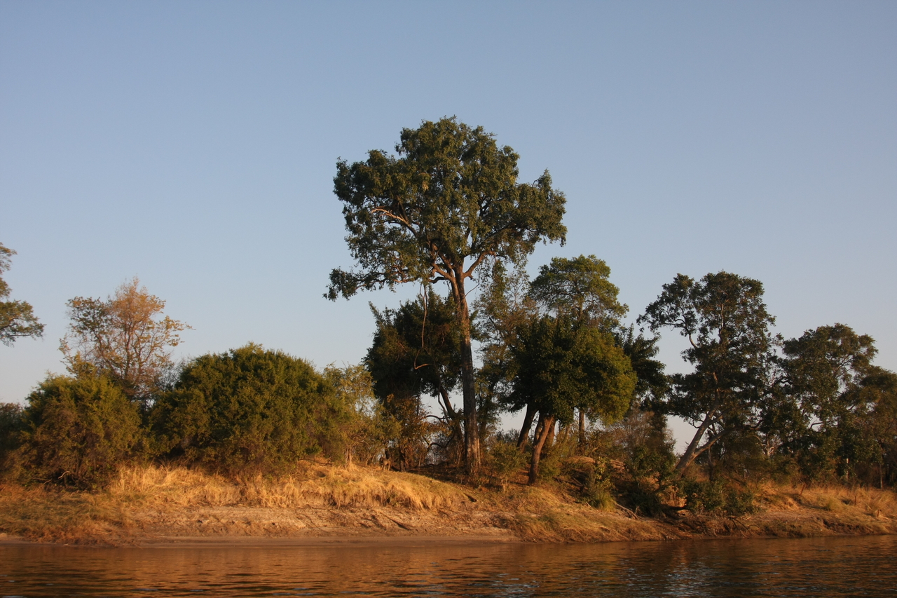 [28474] 2016_07_02_11_14_10_Africa_Canon_EOS_40D_IMG__12129.jpg