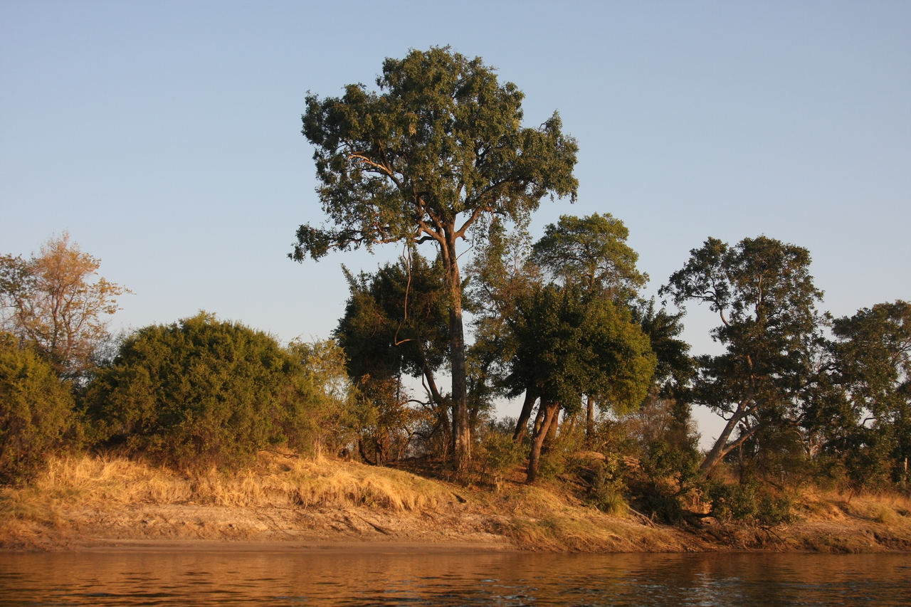 [28477] 2016_07_02_11_14_19_Africa_Canon_EOS_40D_IMG__00142.jpg