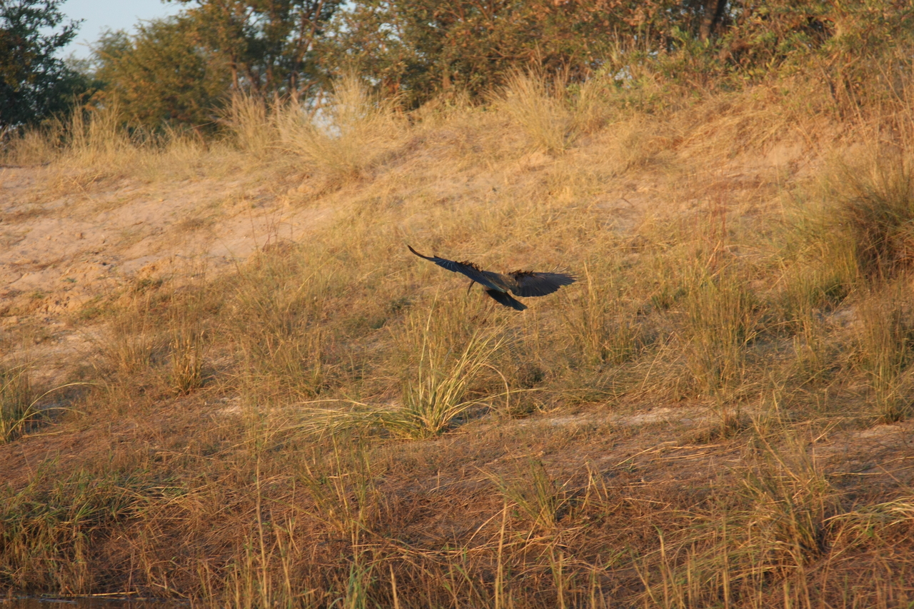 [28542] 2016_07_02_11_28_59_Africa_Canon_EOS_40D_IMG__04707.jpg