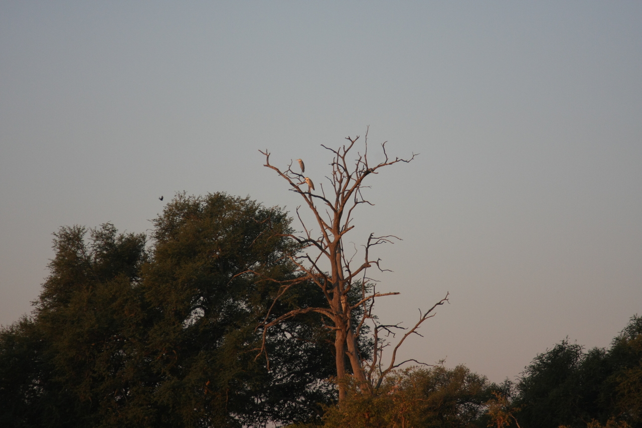 [28548] 2016_07_02_11_30_30_Africa_Canon_EOS_40D_IMG__00167.jpg