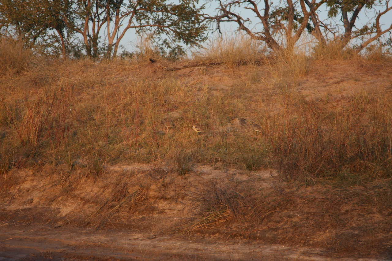 [28563] 2016_07_02_11_32_33_Africa_Canon_EOS_40D_IMG__00172.jpg