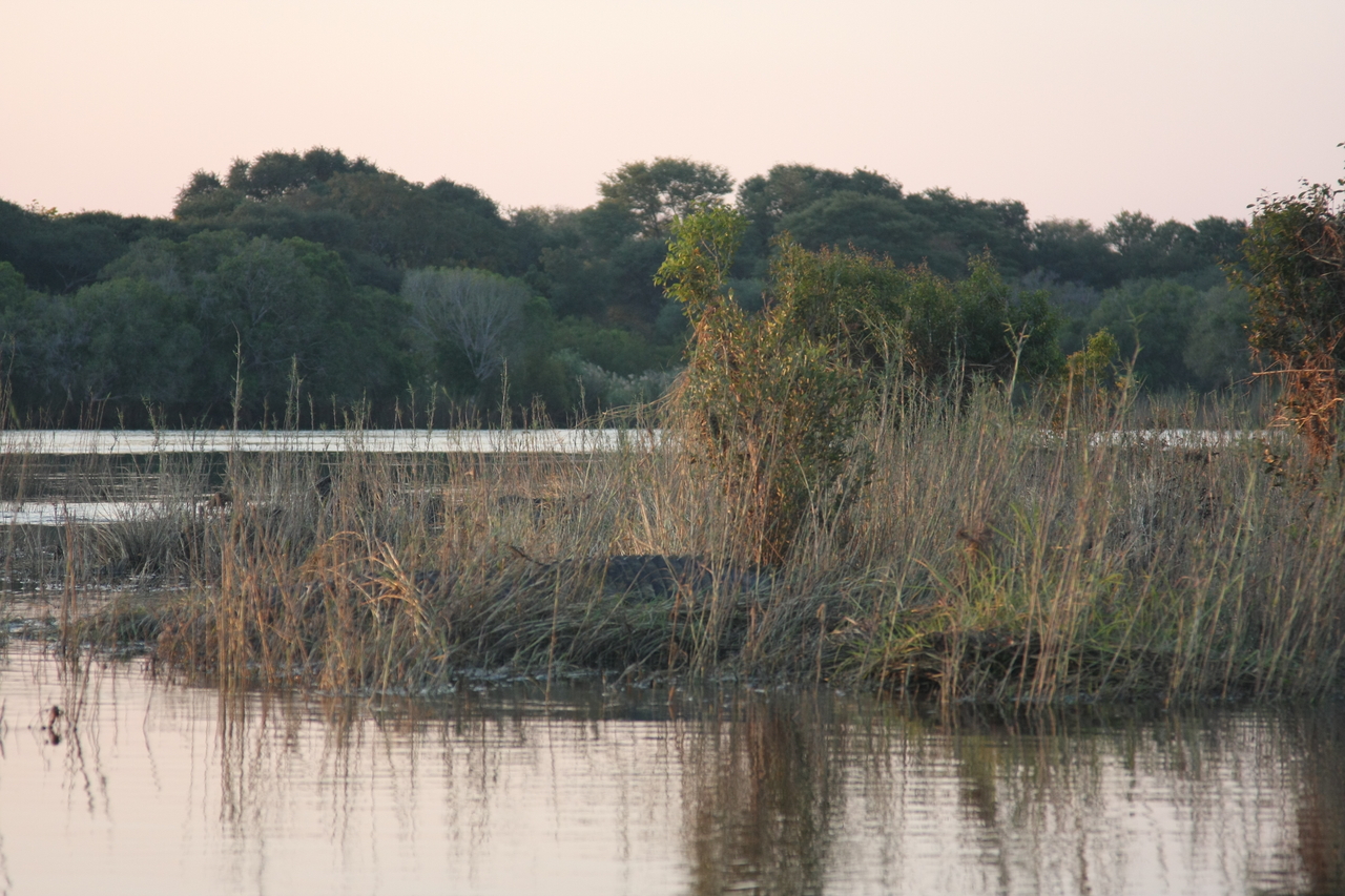 [28576] 2016_07_02_11_34_00_Africa_Canon_EOS_40D_IMG__00177.jpg