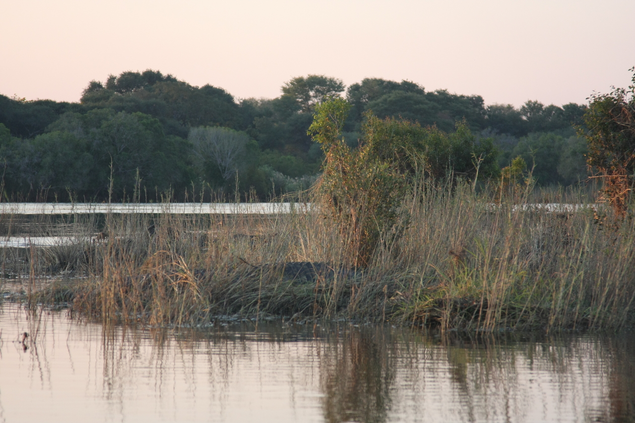 [28579] 2016_07_02_11_34_00_Africa_Canon_EOS_40D_IMG__12166.jpg