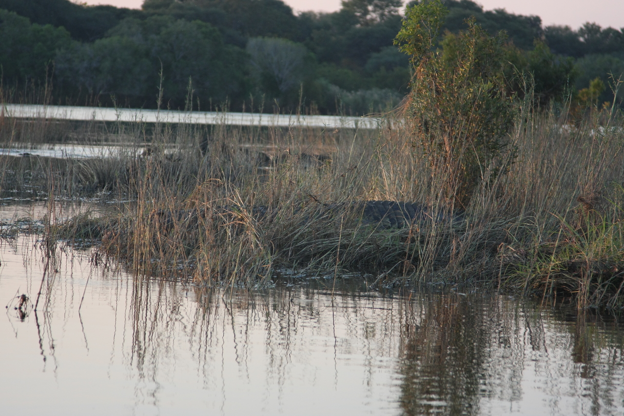 [28587] 2016_07_02_11_34_17_Africa_Canon_EOS_40D_IMG__00181.jpg