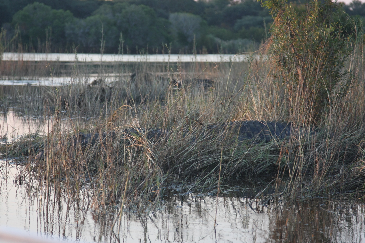 [28596] 2016_07_02_11_34_48_Africa_Canon_EOS_40D_IMG__04727.jpg