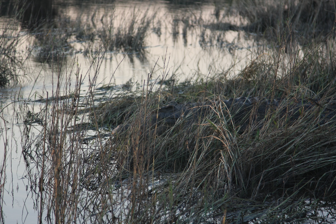 [28614] 2016_07_02_11_35_39_Africa_Canon_EOS_40D_IMG__12178.jpg