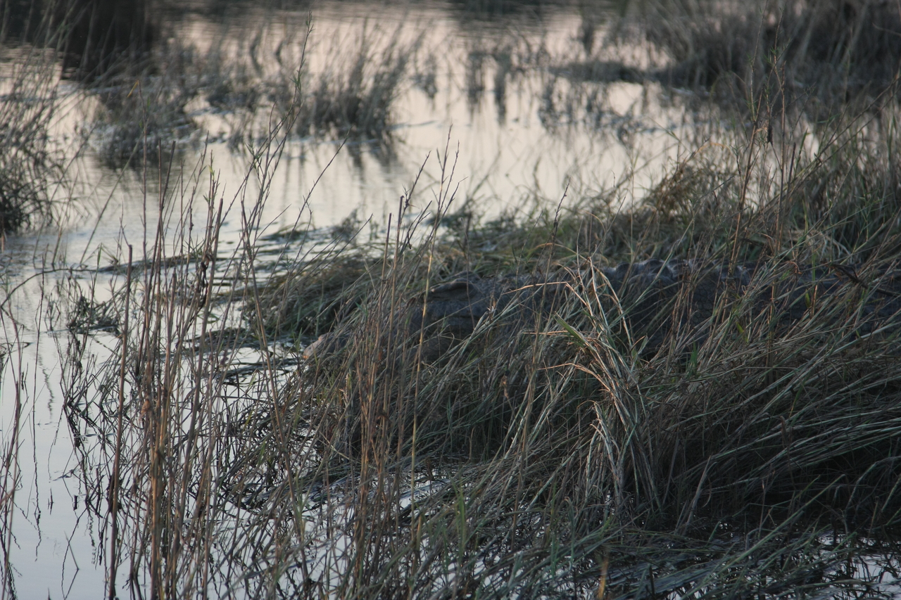 [28615] 2016_07_02_11_35_39_Africa_Canon_EOS_40D_IMG__12179.jpg