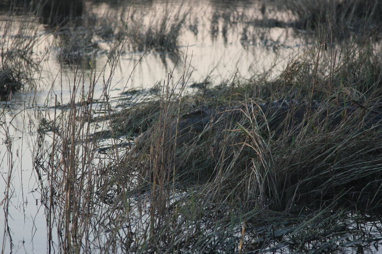 [28618] 2016_07_02_11_35_43_Africa_Canon_EOS_40D_IMG__00193.jpg