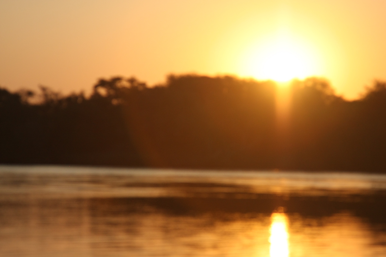 [28628] 2016_07_02_11_37_01_Africa_Canon_EOS_40D_IMG__12185.jpg