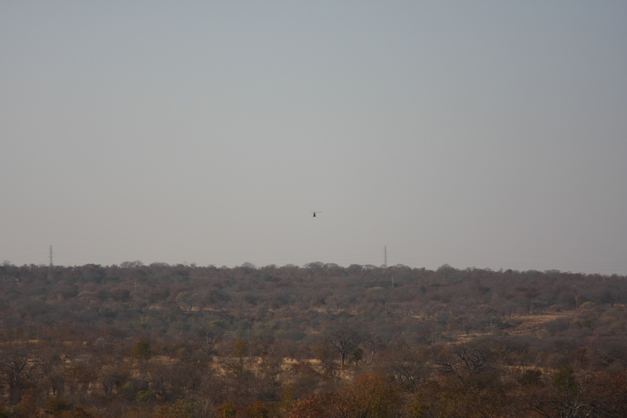 [29187] 2016_07_03_02_31_46_Africa_Canon_EOS_40D_IMG__05310.jpg