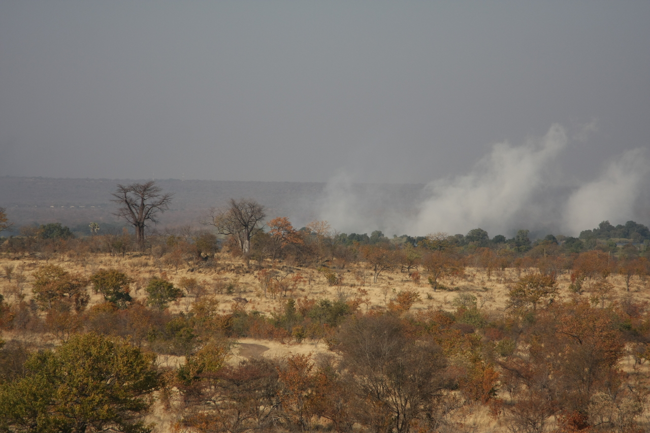 [29196] 2016_07_03_02_43_37_Africa_Canon_EOS_40D_IMG__12790.jpg