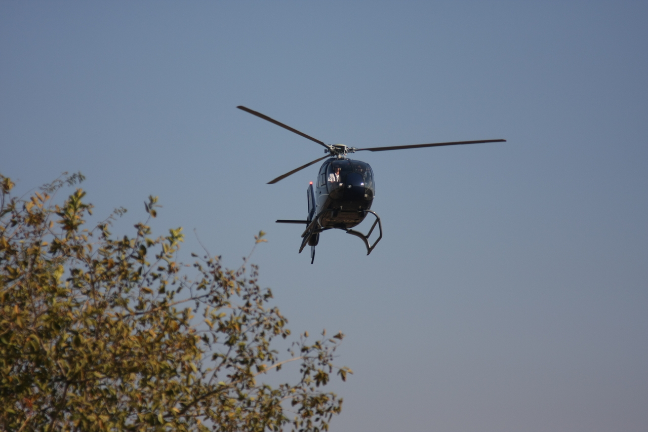 [29221] 2016_07_03_02_50_57_Africa_Canon_EOS_40D_IMG__12823.jpg