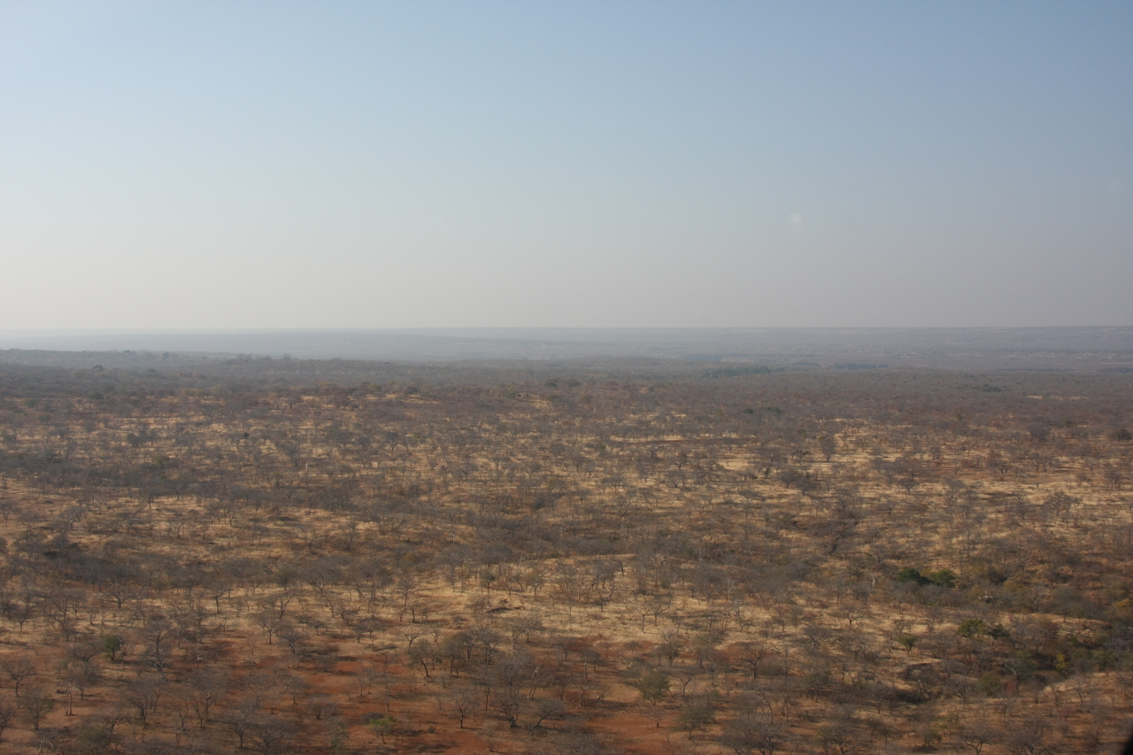 [29257] 2016_07_03_02_57_17_Africa_Canon_EOS_40D_IMG__00680.jpg