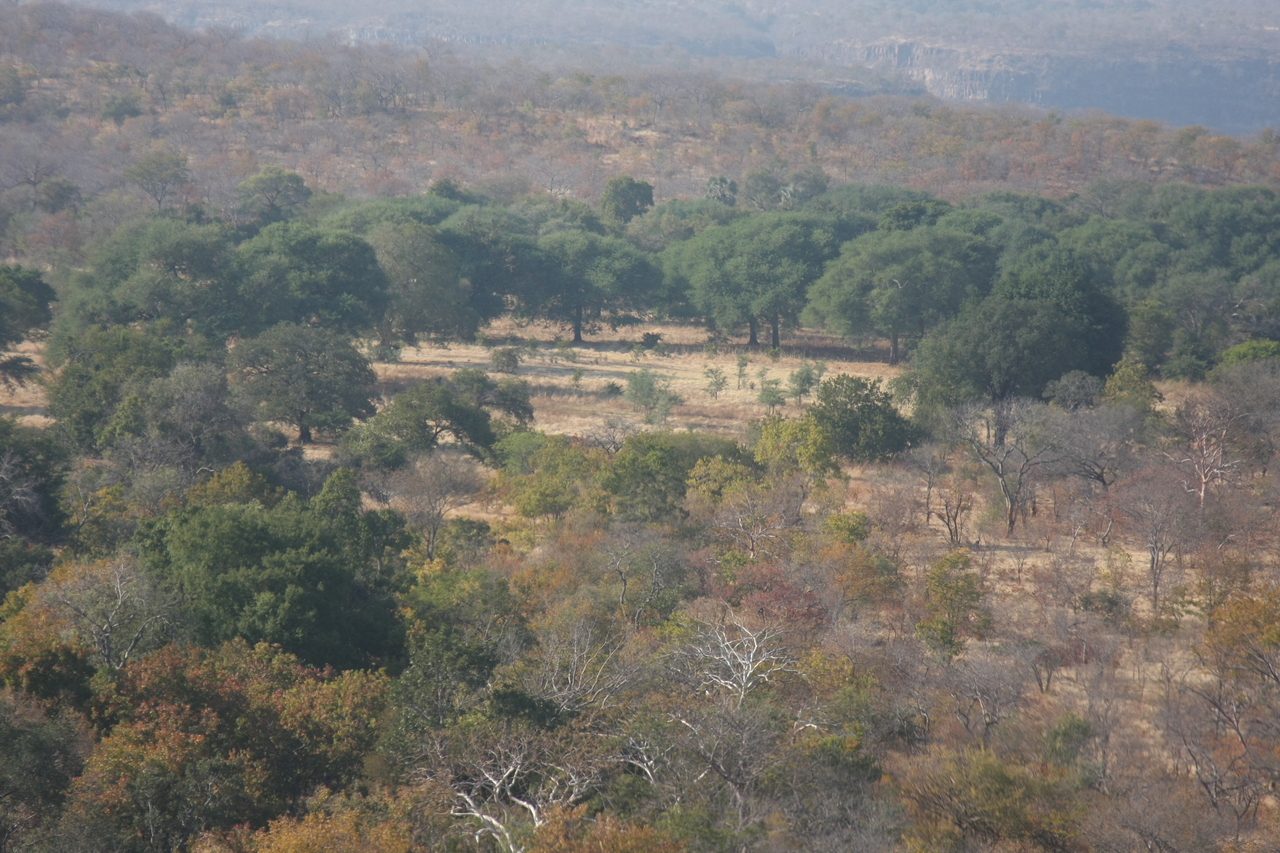 [29267] 2016_07_03_02_58_04_Africa_Canon_EOS_40D_IMG__00724.jpg