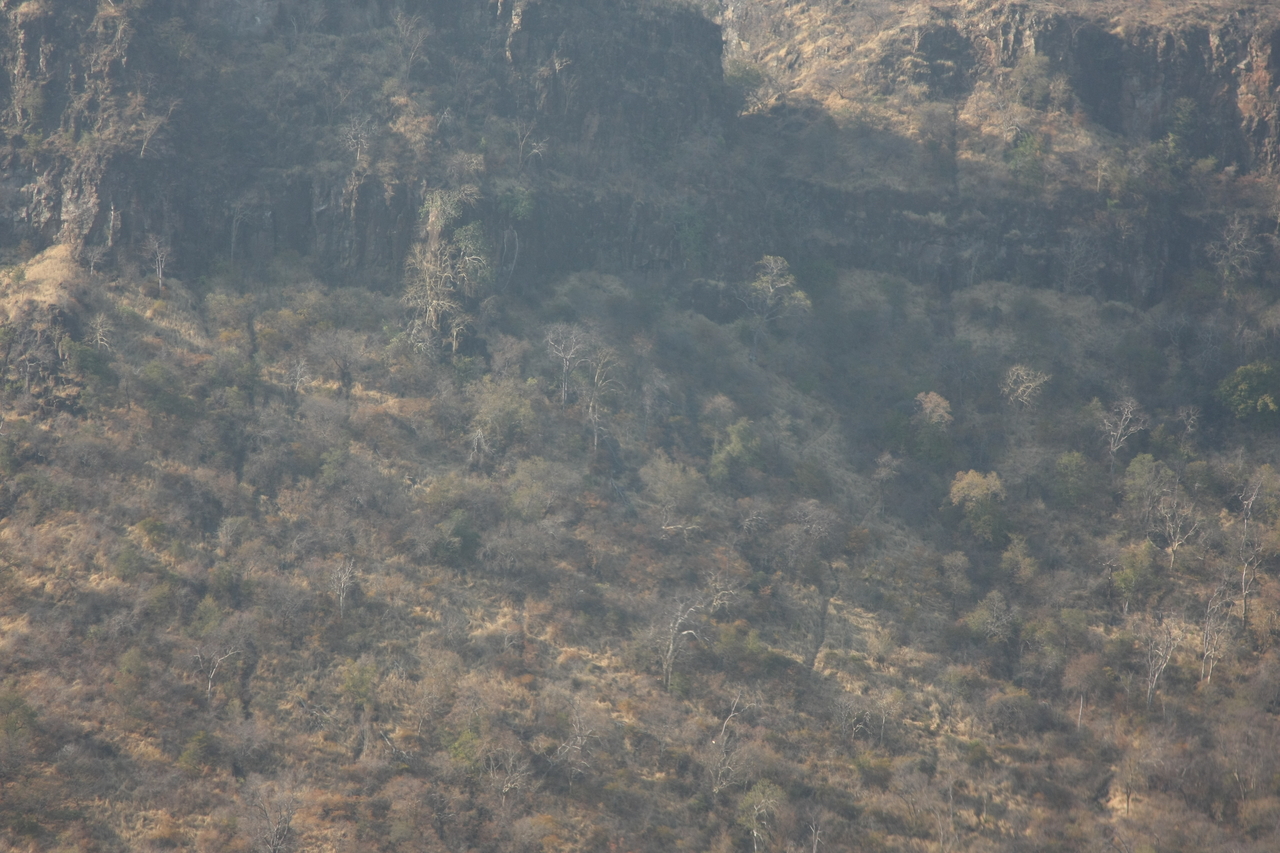 [29281] 2016_07_03_02_58_37_Africa_Canon_EOS_40D_IMG__00768.jpg