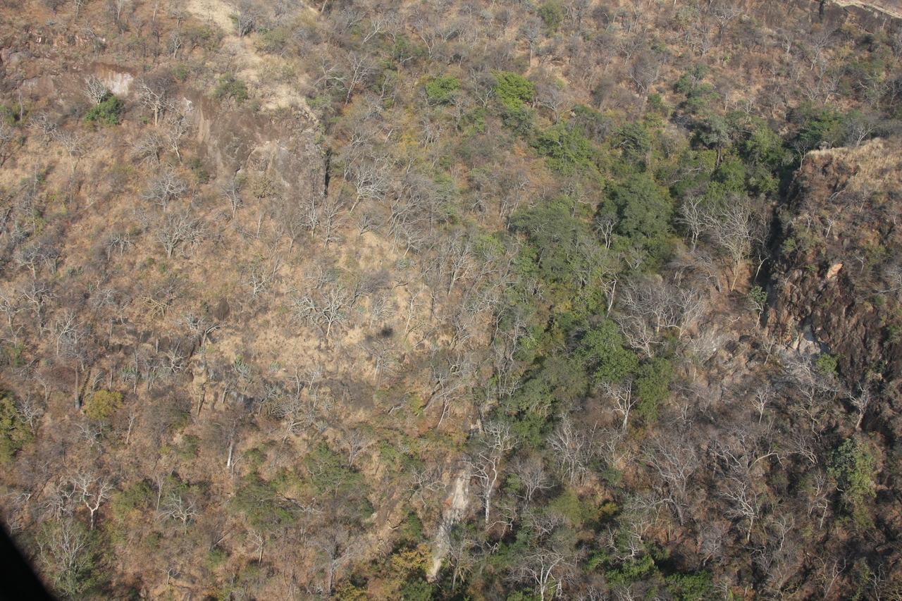 [29473] 2016_07_03_03_00_44_Africa_Canon_EOS_40D_IMG__12326.jpg