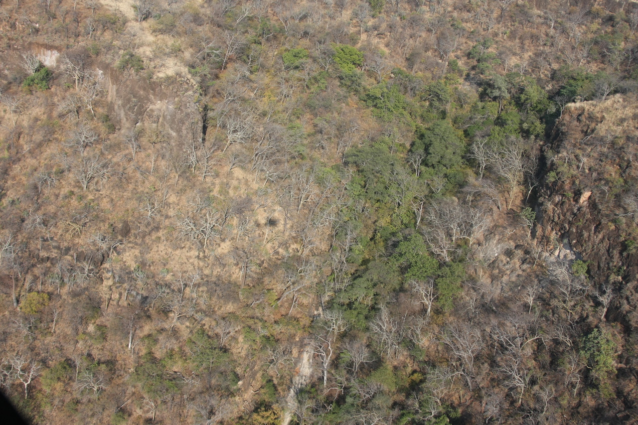 [29474] 2016_07_03_03_00_44_Africa_Canon_EOS_40D_IMG__12327.jpg