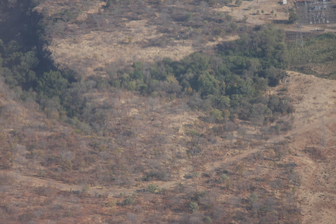 [29564] 2016_07_03_03_04_48_Africa_Canon_EOS_40D_IMG__12360.jpg