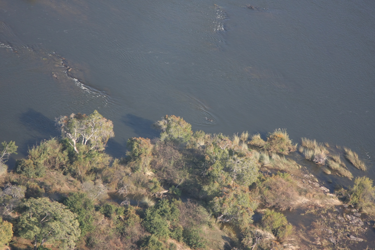 [30155] 2016_07_03_03_10_44_Africa_Canon_EOS_40D_IMG__05133.jpg